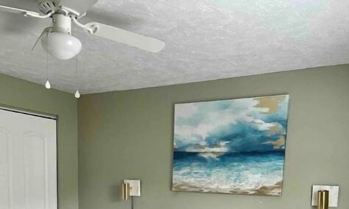 Sulphur Springs Apartment | Entire Cozy Apartment in Tampa