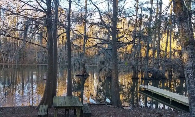 Votaw Cabin | Entire home in Cleveland, Texas