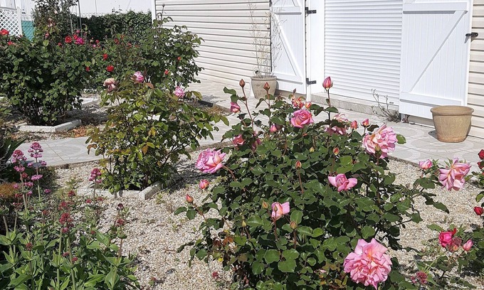 Nieul-sur-Mer House | Entire home Les Mille Roses