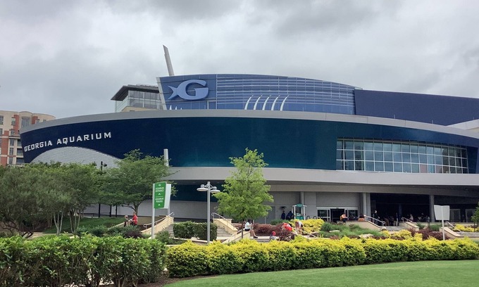 Ellenwood House | Entire home with jacuzzi and game room for relaxation.