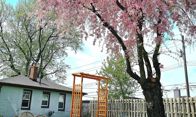 Ferndale House | Entire LARGE property, house w WiFi, pool, mini golf, hot tub, and new RV!
