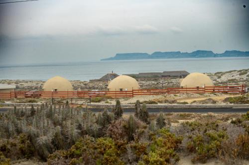 Punta de Choros Other | Entre Dunas y Caracolas