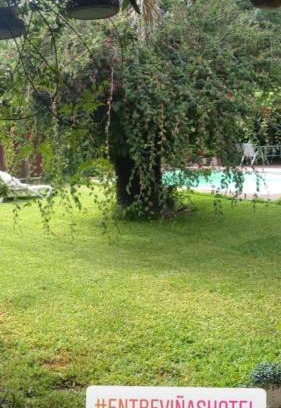 Nancagua Bed & Breakfast | ENTRE VIÑAS