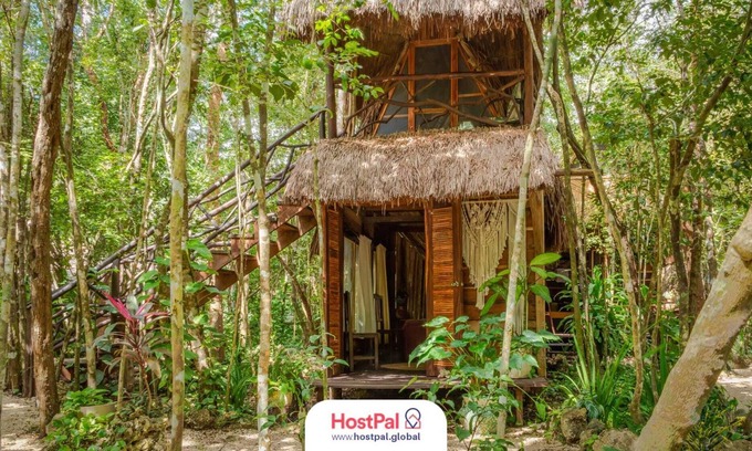 Leona Vicario Cabin | Equilibrio en cuerpo & mente | Hotel Madre Tierra