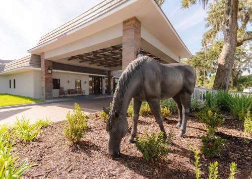 Ocala Hotel | Equus Inn I75