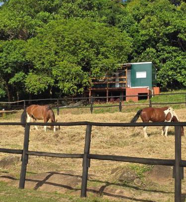 Ribeirao da Ilha Ski Chalet | Equus - Refúgio da Ilha