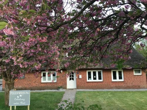 Bordelum Apartment | Erholung unter Reet