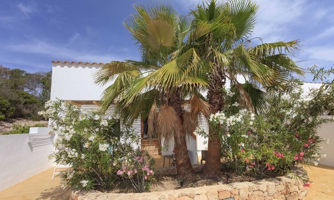 Calo de Sant Agusti Other | Es Pas Formentera Agroturismo