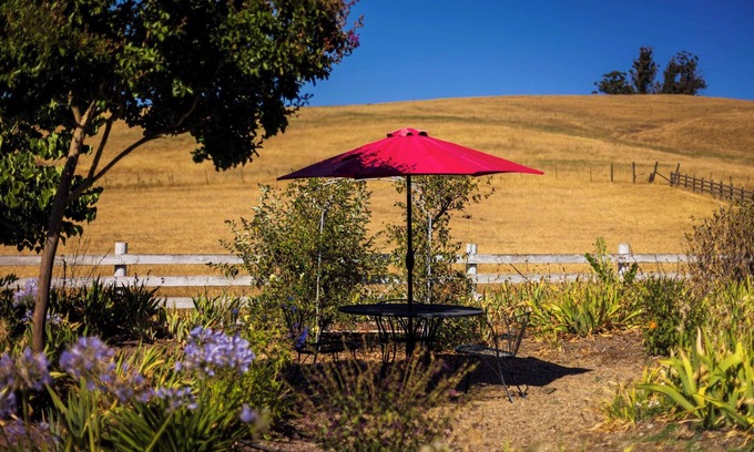 Petaluma Apartment | Escape to a Charming 1 Bed Casita on a Sonoma Farm