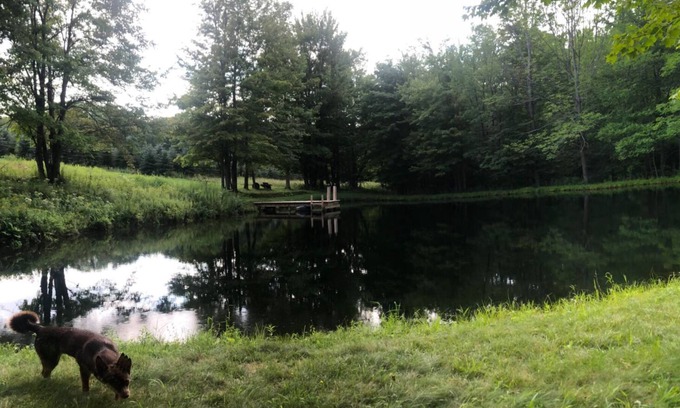 Andover House | Escape to a Private land locked hideaway great for hunting/fishing and family.