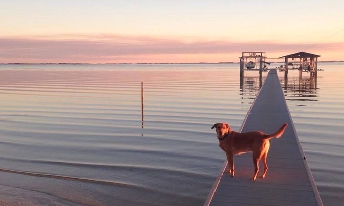 Ono Island House | Escape to Gulf Beach Getaway! (Pet friendly)