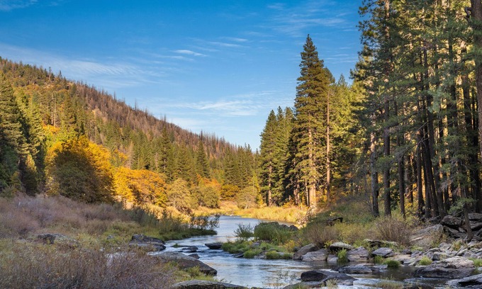 Greenville House | Escape to the Cabin, 1GB Ultrafast WiFi, in Plumas National Forest