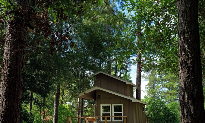 Mount Olive Cabin | Escape to the Canopy: Enchanting Treehouse Retreat in the Heart of Nature