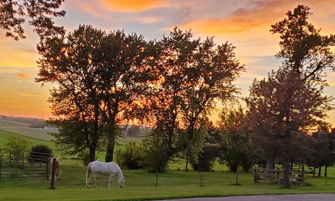 Morrisonville House | Escape to tranquility – your countryside haven, and at times with a horse or two