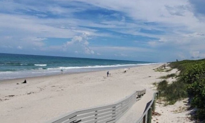 Palm Bay House | Escape to Tranqulity: The Sandhill Blue House-Discover Naturen