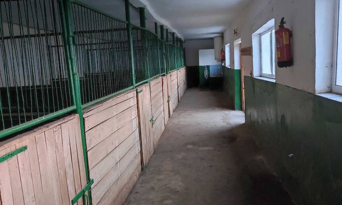 Gulyantsi House | ESCUS HORSES