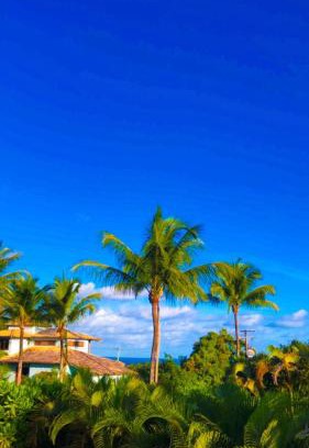 Curuipe Bed & Breakfast | Espelho Bahia Blue House