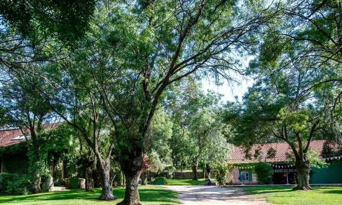 El Escorial House | Estate