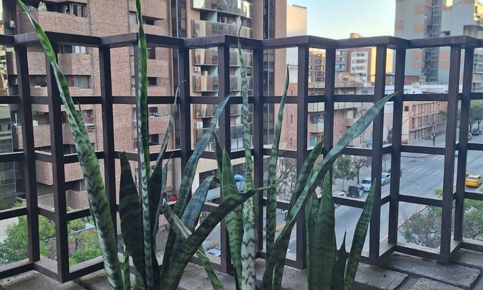 Cordoba Apartment | Excellent apartment. Olmos Courtyard