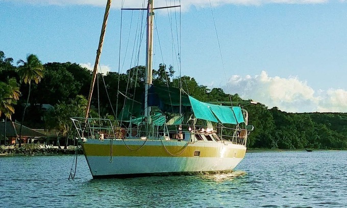 Tartane Boat Rental | Exceptional stay on a boat in Sainte-Anne