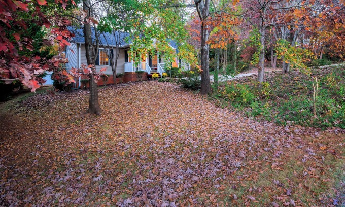 Pickens House | EXCEPTIONAL, SUPER CLEAN! IN THE FOOTHILLS OF THE BLUE RIDGE MTN.! NO ANIMALS!