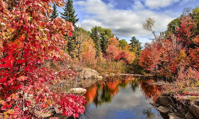Dwight Cottage | Exclusive Forest Haven ~ Muskoka Luxury Estate