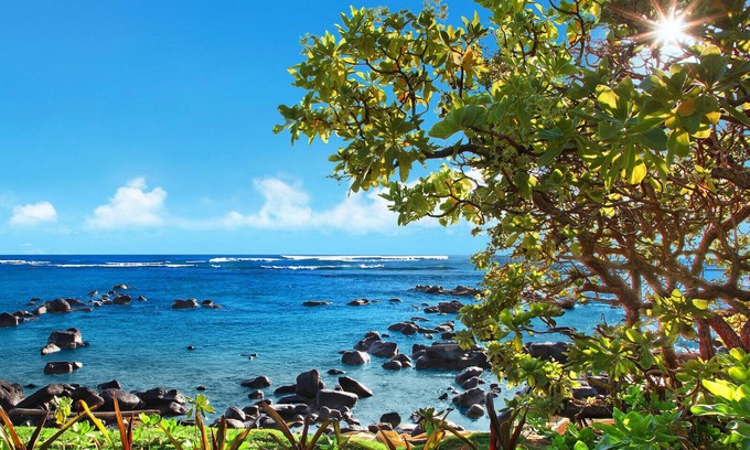 Anahola House | Expansive Ocean Views and a Few Steps to the Beach