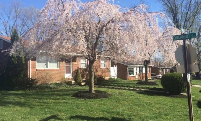 Hollins House | Experience Hollins charm near Hollins University