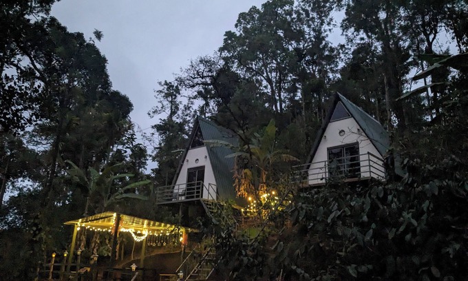 Madikeri House | Experience Serenity at Coorgology estate stay in Lush Coffee Plantations