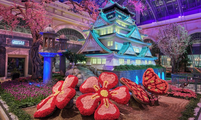 Las Vegas Hotel | Experience the world-famous Las Vegas Strip! W/Pool, Parking Access!