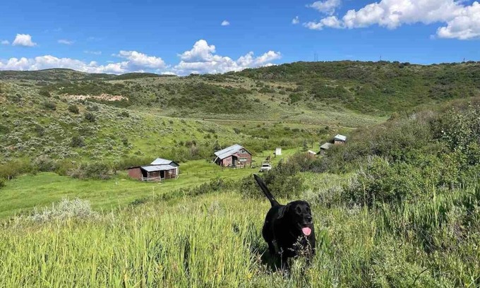 Collbran Cabin | Explore Hunting Cabins in Collbran Colorado - Mountain Made