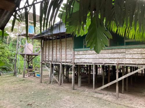 Belen Other | Explorer Iquitos