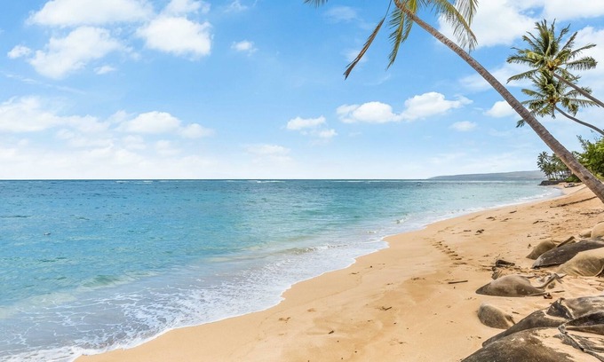 Waialua Condo | Exquisite Mokuleia Beachside Cottage