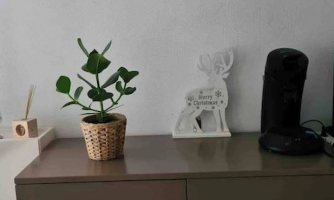 Poincare - Foch - Anatole France - Croix de Bourgogne Apartment | F2 5min from the station, duplex, quiet, 47m2