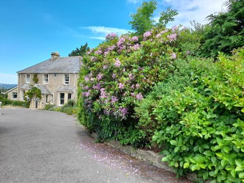 Hawkchurch House | Fairwater Head