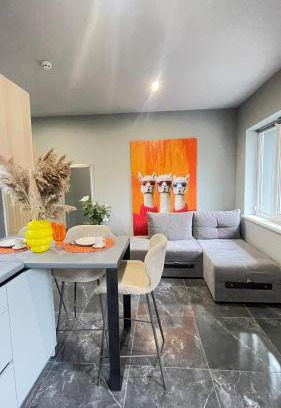 Chernovtsy Apartment | Family apartments N5