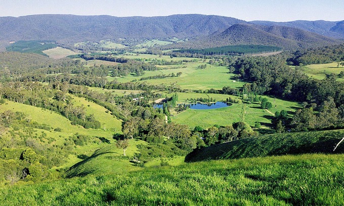 Taggerty Cottage | Family Focused Farmstay Nestled Amidst the Great Divide Range