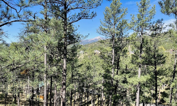 Ruidoso House | FAMILY FRIENDLY HOUSE! GREAT MOUNTAIN VIEWS! SLEEPS 14