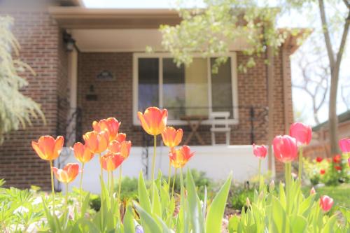 Cory House | Family-Friendly Mid-century Modern Retreat