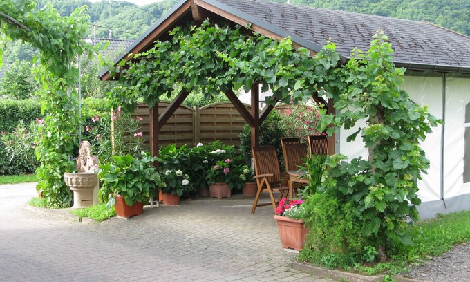 Minheim Apartment | family-friendly, outdoor facility, hiking, wine yards, biking
