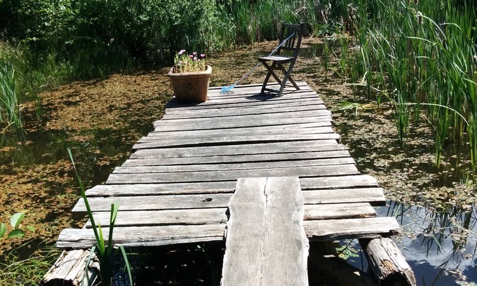 Galiano House | Family Friendly Rancher on Galiano Island, 5minutes to Montague Marine Park