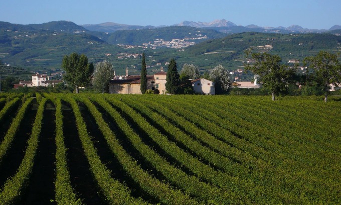San Pietro in Cariano Other | Family fun in the vineyards of Valpolicella