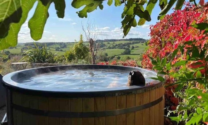 Newton St Loe Other | Family Gem in Bath, sleeps 18, stunning view