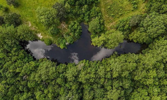 Bush House | Family Getaway 45 Acres
