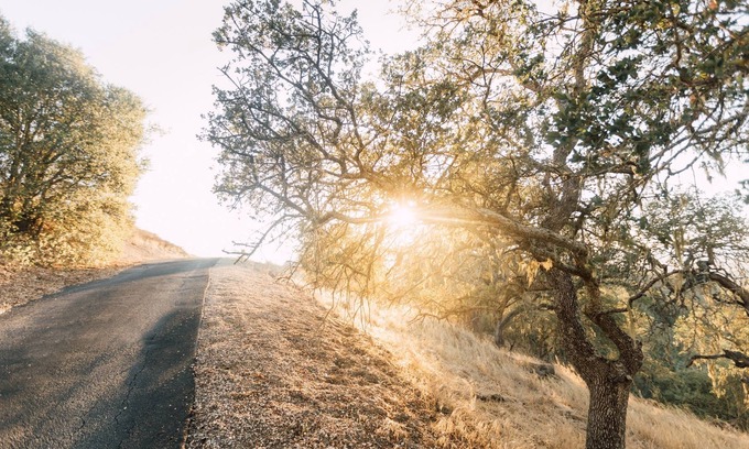 Templeton House | Family Getaway, Paso wineries, Hot Tub, Dogs!