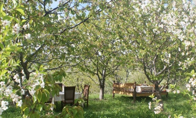 Urgut Bed & Breakfast | Family guest house The spring Бахор
