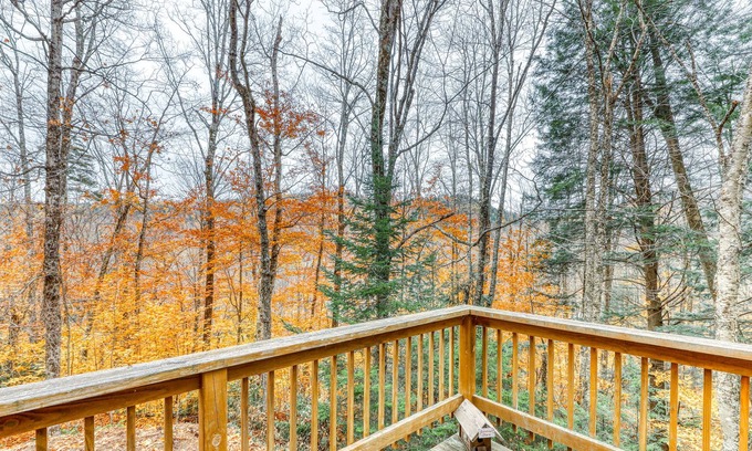 Plymouth House | Family home w/ sauna & deck - close to skiing and lakes!