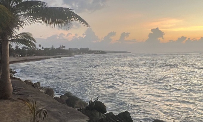 Aguada House | Family house 2 miles to the beach 10 min to downtown Rincon, pool w/swim up bar