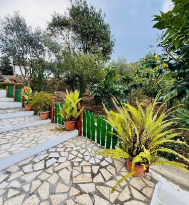 ‘Ayn ad Darahim House | Family House Ain Draham