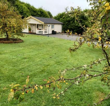 Letterkenny House | Family Log Cabin
